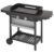 Campingaz Plancha Grill EX